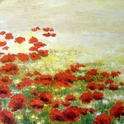 14-amapolas_en_la_serena_card