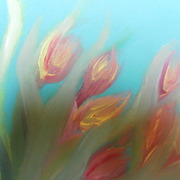 Sam_4742_card