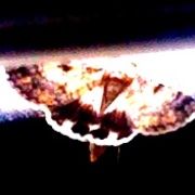Butterfly_card