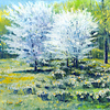 Germany_baden-baden_spring_01a_thumb