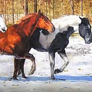 Winters-first-snow-1_card