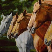 Horses-heads-2_card