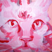 Pink_cat_11_card