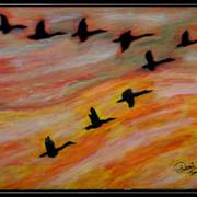 Birds_caravan_card
