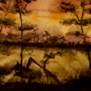 Morning_light_on_golden_pond_card
