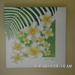 Sany0952_square