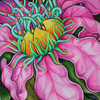 Pink_flower_thumb