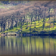 Imgp9467-001_card