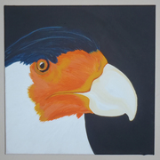 Caracaras_card