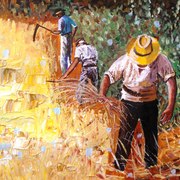 Harvest_card