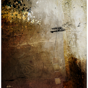 Old_walls_divide_card