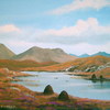 Conn_bog_resize_thumb