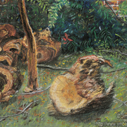_rbol_caido_2011_866x72_card