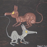 Img_1270-01_card
