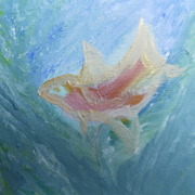 Sam_4745_card