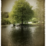 Greentree_card