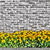 Brown_eyed_susans_hdr_tiny_square