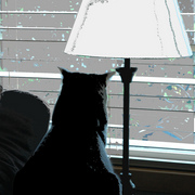 4072728441_6e0976f923_b_card