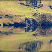 Imgp9490-001_card