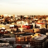 Ambers_phone_038