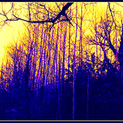 ______3345-1_card