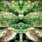 Heart_snapseed_card