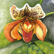 Img359_card