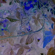 Image849_card