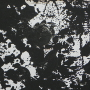 Dscn0484gh_card