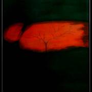 Night_card