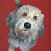 Doggie_square