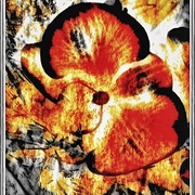 Blazing_card