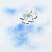 100_4152croped_small_w_card