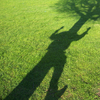 I_am_a_tree_thumb