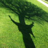 I_am_a_tree_5_thumb