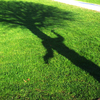 I_am_a_tree2_thumb