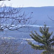 Overlook_card