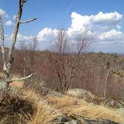 Mountainside_card
