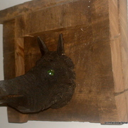 Dsc03892_card