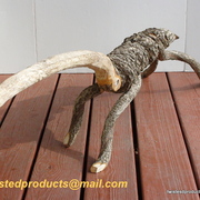 Dsc03821_card