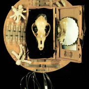 Medicine_chest1_card