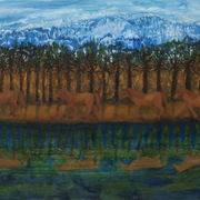 Reflections_in_a_pond_card