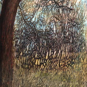 Widok2-3_card