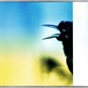 Ravin_snapseed_card