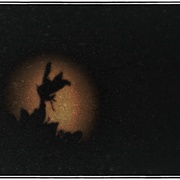 Moonfairy_snapseed_card