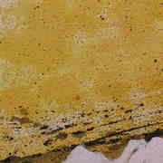 Dscn3110_card