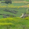 Easter_greetings_thumb