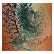 A2_card