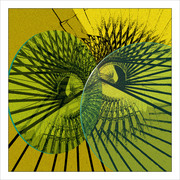 5f3_card
