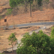 Lavasa__15__card